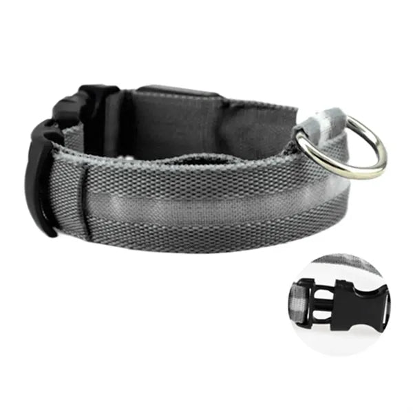 Led Dog Collar