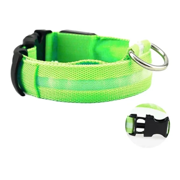Led Dog Collar