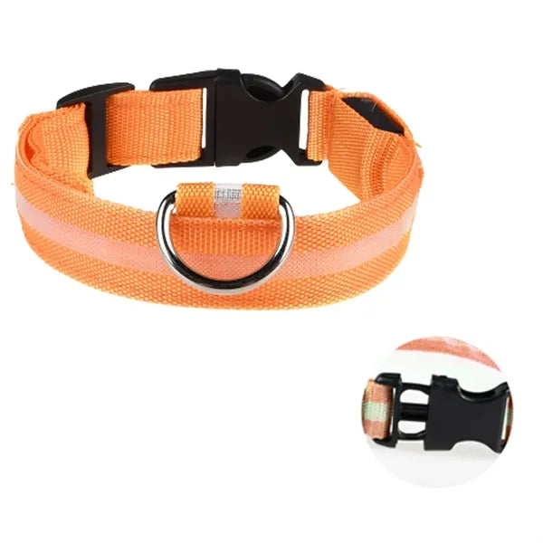 Led Dog Collar