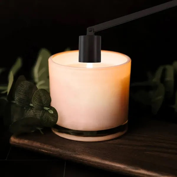 Stainless steel Candle Snuffer