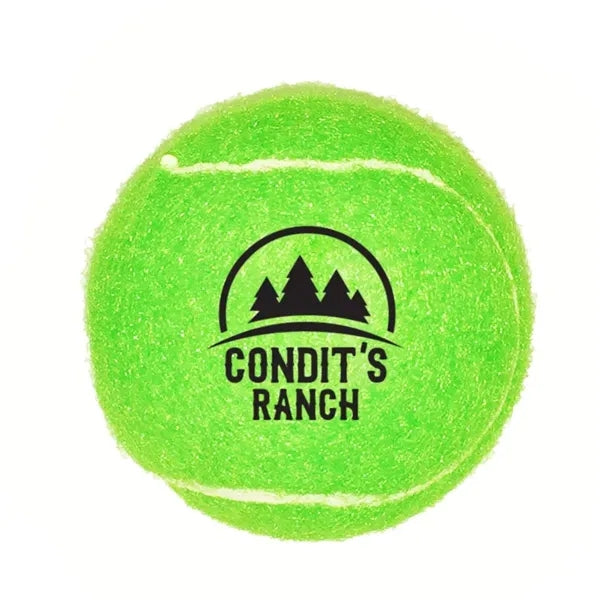 Pet Tennis Ball Toy