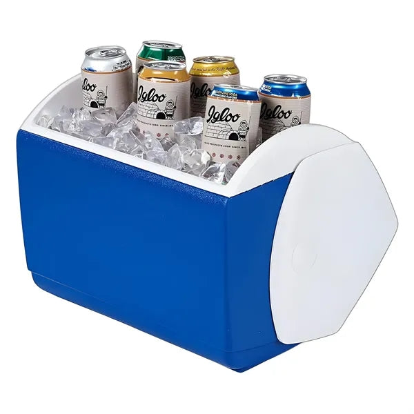Insulated Portable Cooler