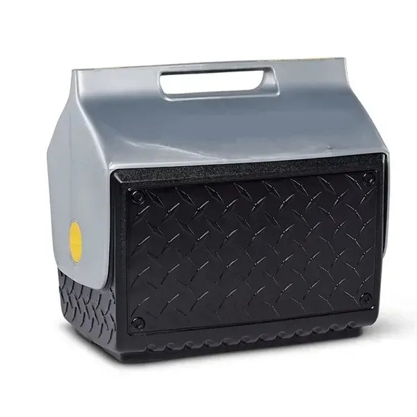 Insulated Portable Cooler