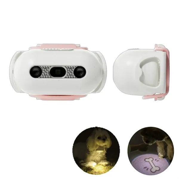 LED Dog Collar: Light Projection