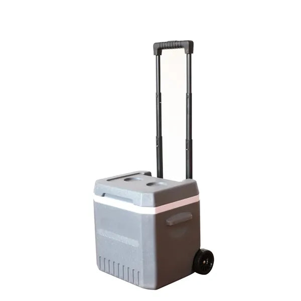 18L Wheeled Cooler Box