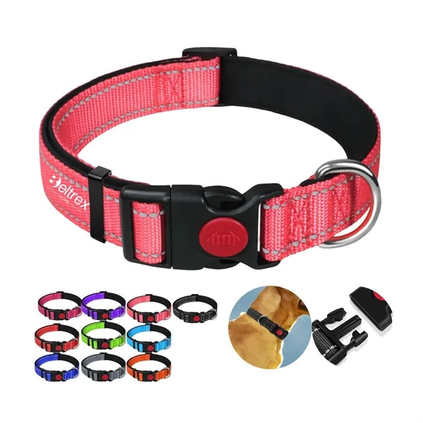 Reflective Dog Collar for Safety and Comfort