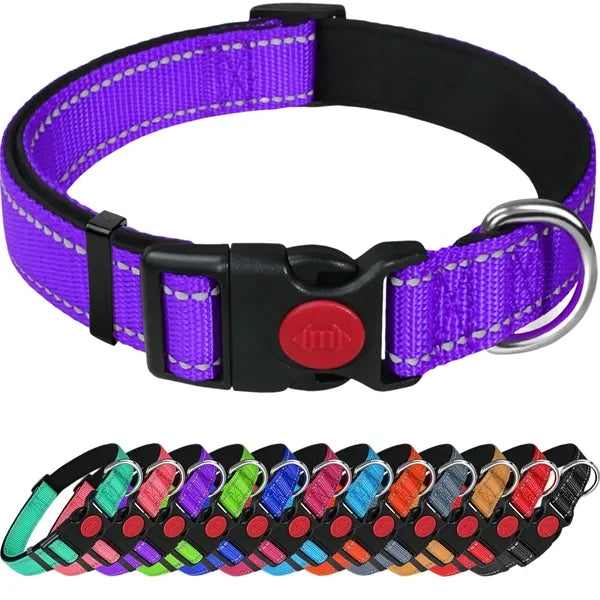 Reflective Dog Collar for Safety and Comfort