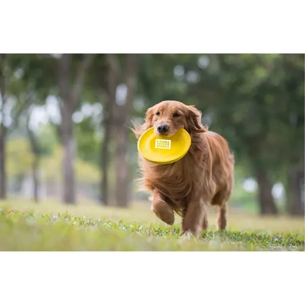 Soft Rubbery Pet Flying Disc
