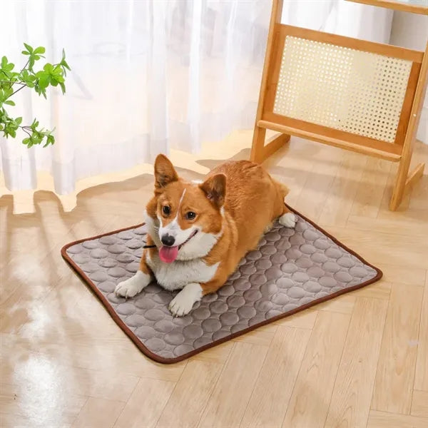 Pet mat