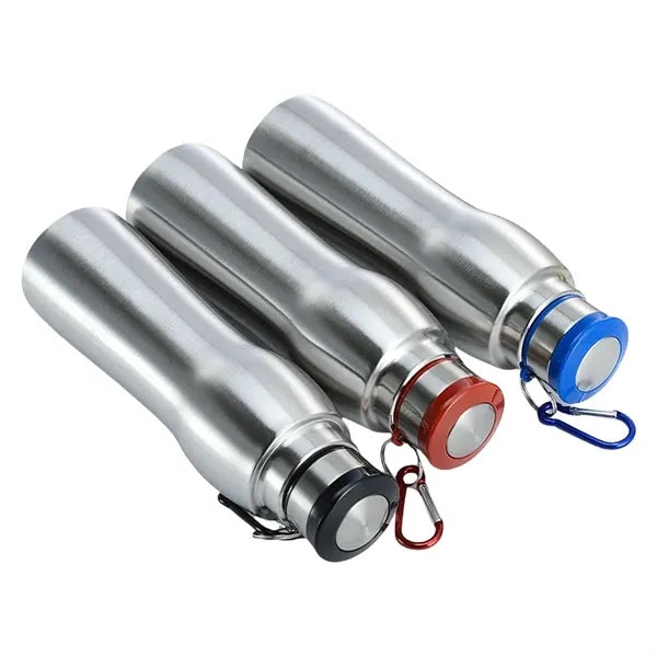 Stainless Steel Insulated Water Bottle with Carabiner Clip