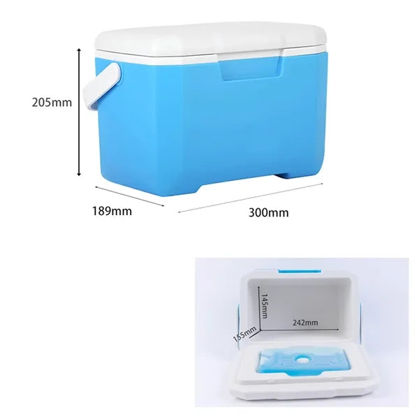 6L Portable Insulated Cooler Box Mini Travel Ice Chest