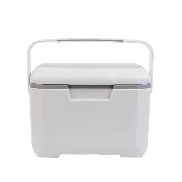 6L Portable Insulated Cooler Box Mini Travel Ice Chest