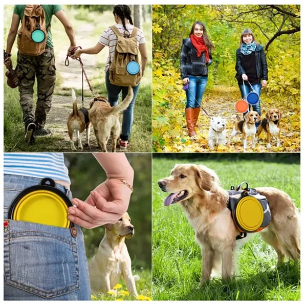 Foldable TPE Dog Bowl With Keychain