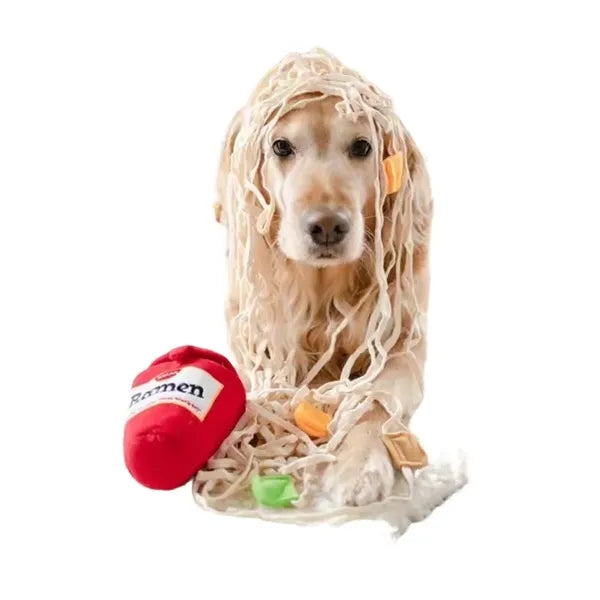 Puppy Snuffle Traning Feeding Toy