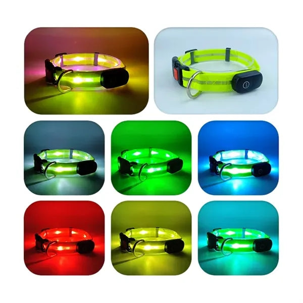 Light Up Dog Collar