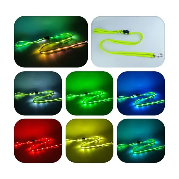 Light Up Dog Collar