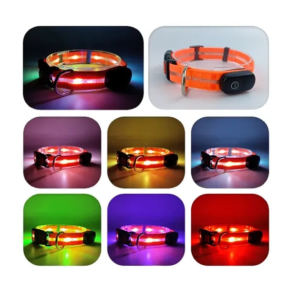Light Up Dog Collar
