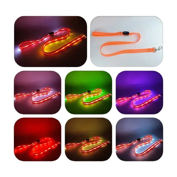 Light Up Dog Collar