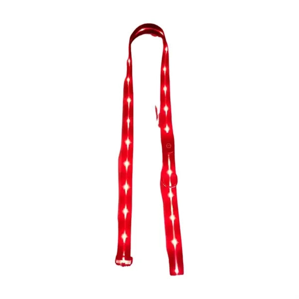Light Up Dog Collar