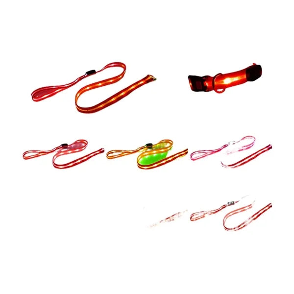 Light Up Dog Collar