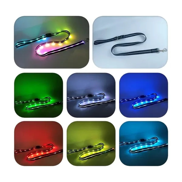 Light Up Dog Collar