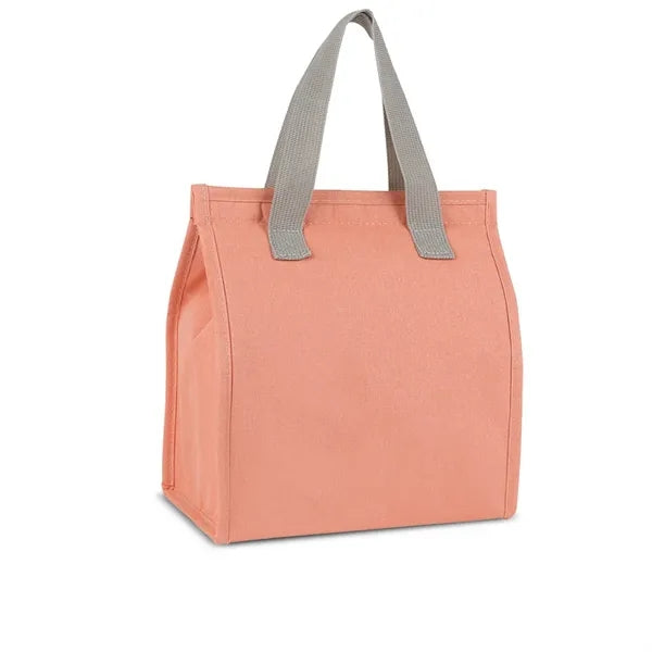 6 Pack Cooler Lunch Tote Bag