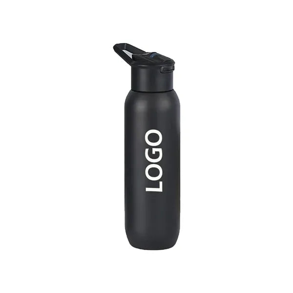 20oz Stainless Steel Insulated Sipper Bottle