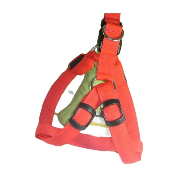 Nylon Webbing Dog Harness