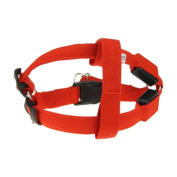 Nylon Webbing Dog Harness