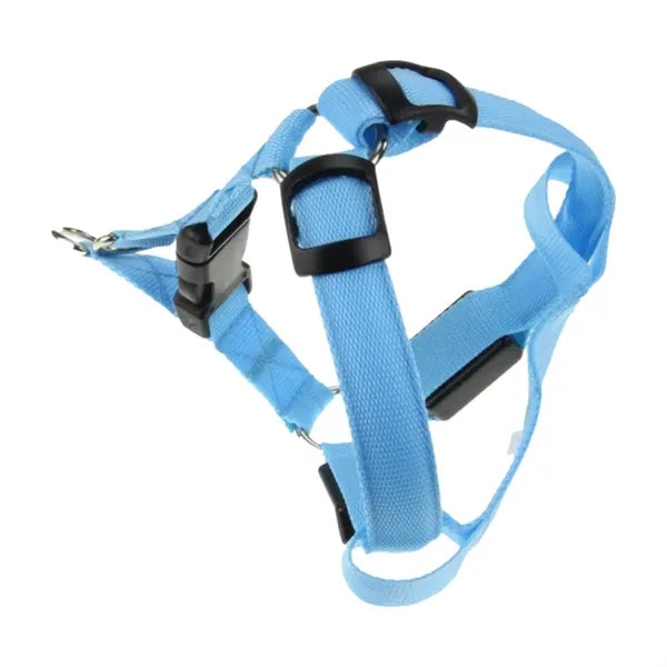 Nylon Webbing Dog Harness
