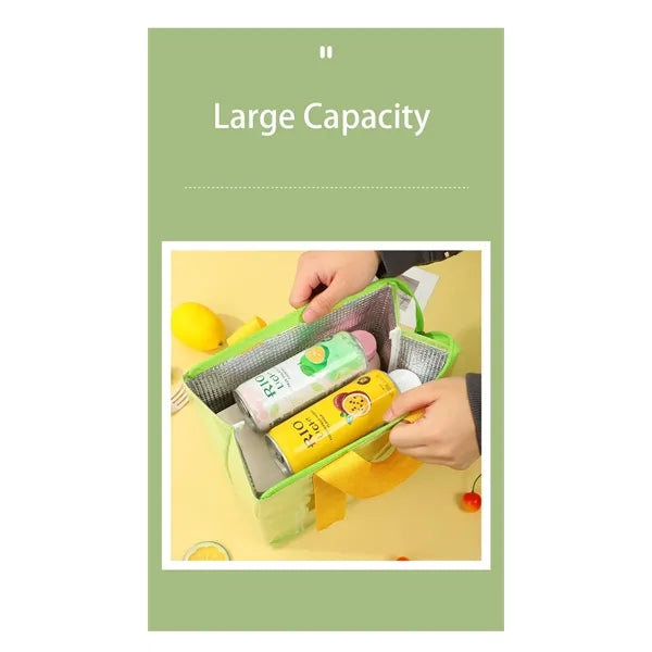 Adult Insulated Lunch Box