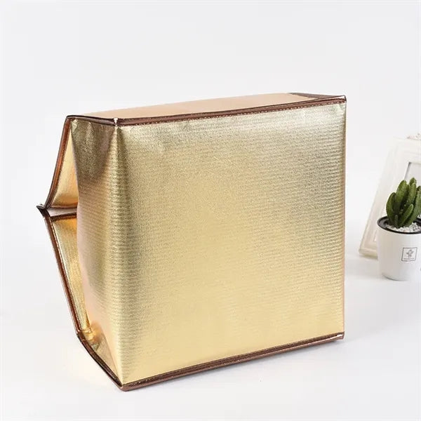 Heavy Duty Insulated Cooler Tote Food Delivery Bags