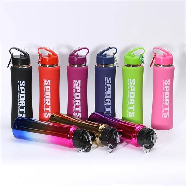 Insulated Stainless Steel Bottle with Carabiner