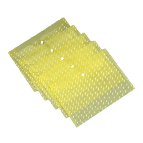 A4 Transparent Snap-button File Folder