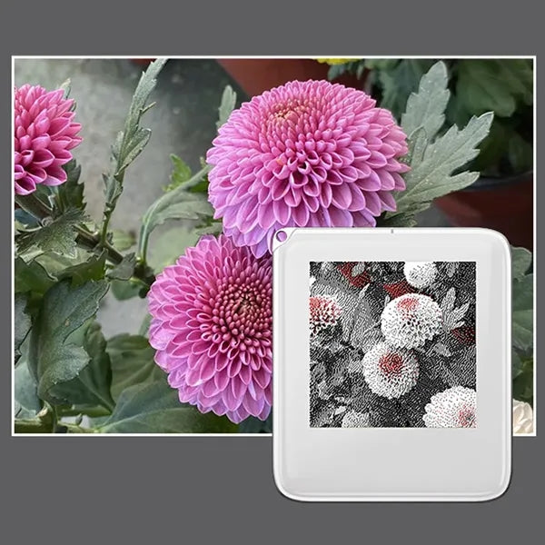 NFC Photo Transmission Display