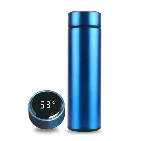 17oz Smart Water Bottle With Led Temperature