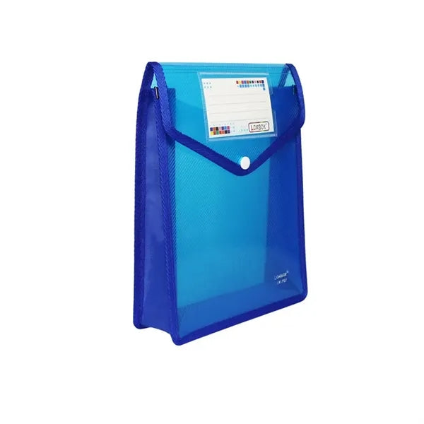 Expandable Clear Plastic Document Folder