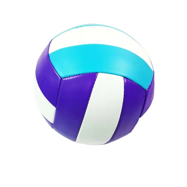 Size 5 Training and Beach Volleyball