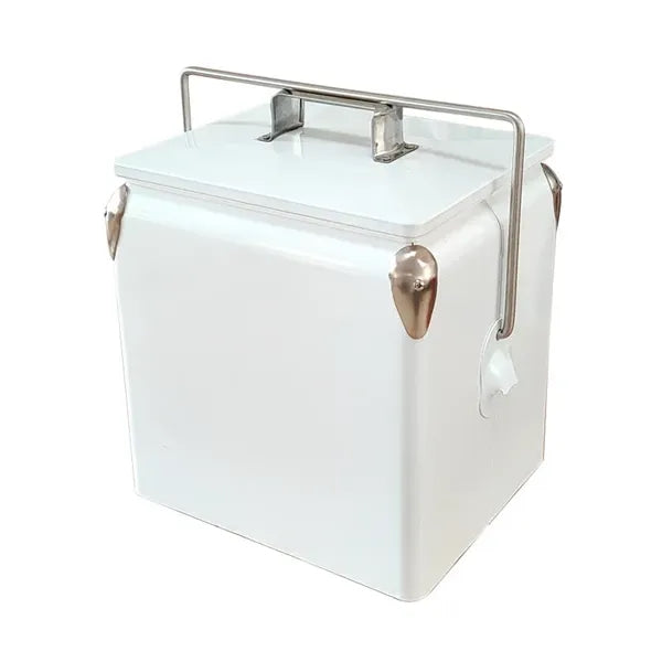 Portable wine cooler box