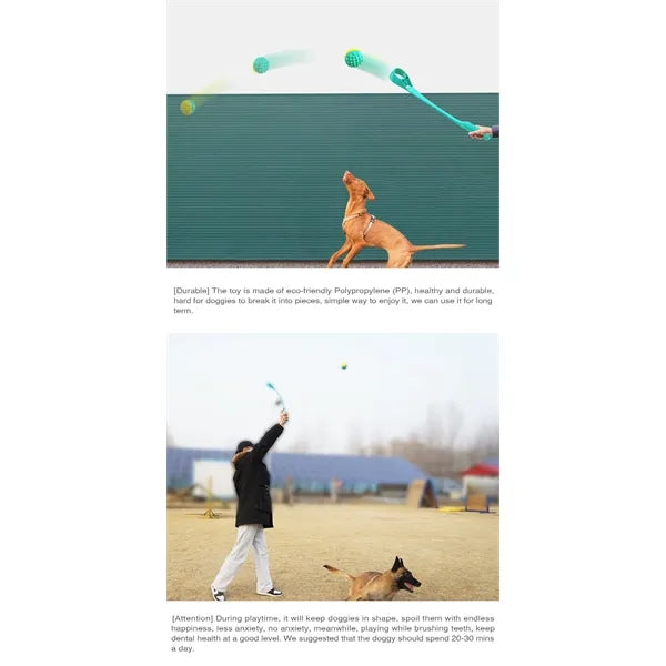 Dog Tennis Ball Launcher