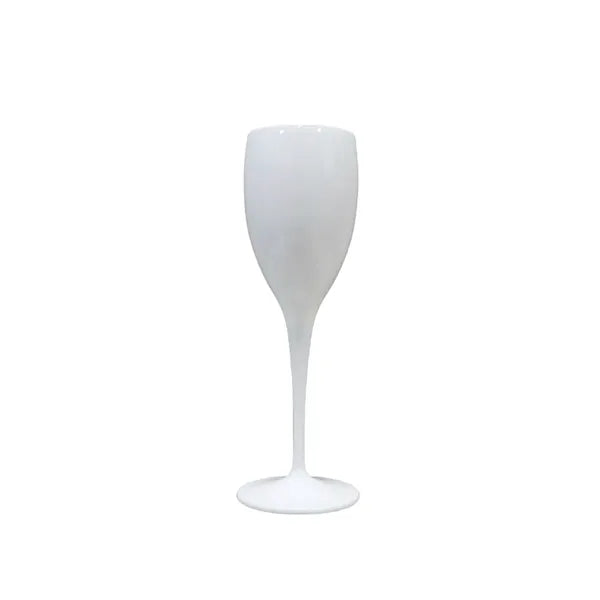 Plastic Wine Glasses Party Champagne Flutes