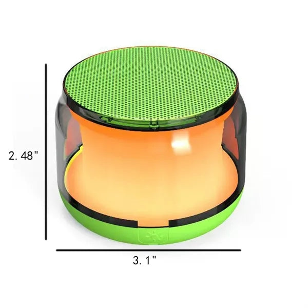 Mini Bluetooth Wireless Speaker