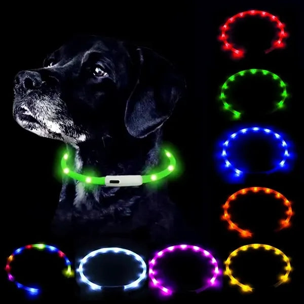LED Dog Collar