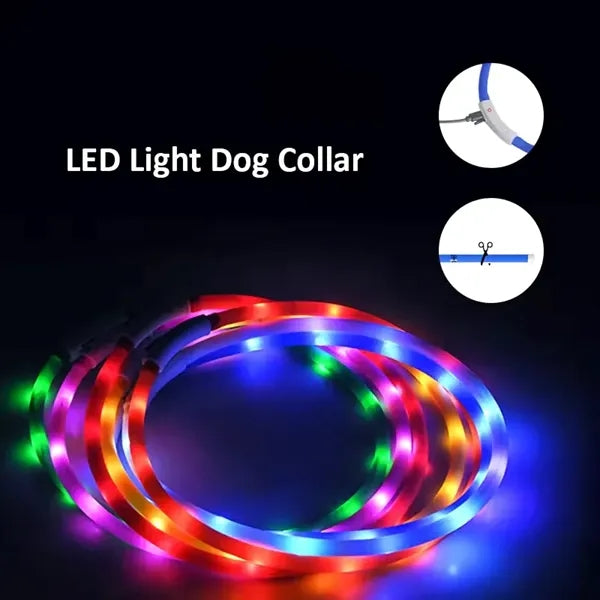LED Dog Collar