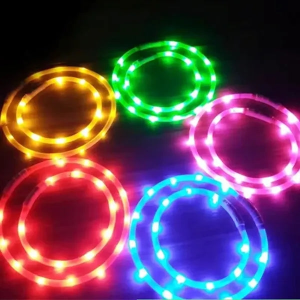 LED Dog Collar