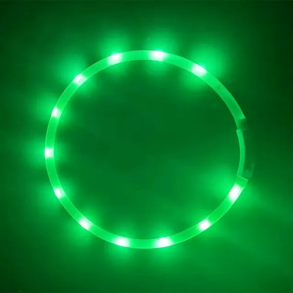 LED Dog Collar