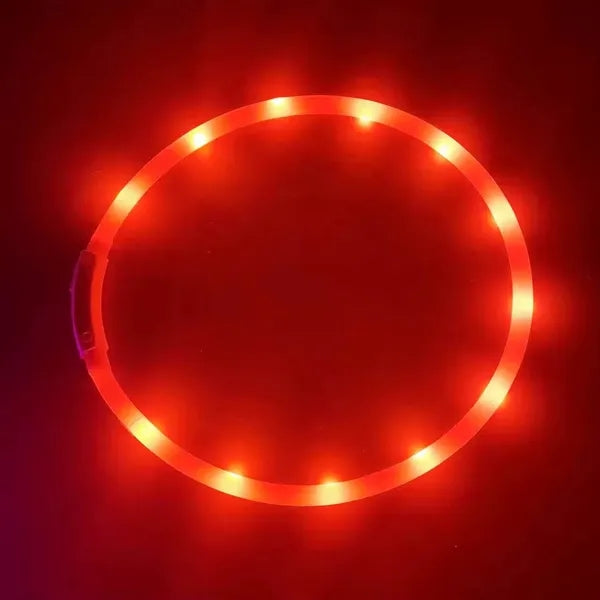 LED Dog Collar