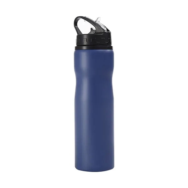 25 oz Stainless Steel Water Bottle
