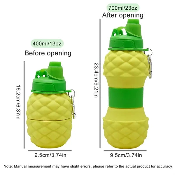 Collapsible Silicone Water Bottle
