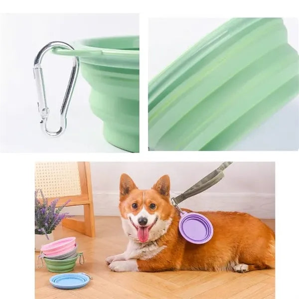 Collapsible Dog Bowls with Bottle Carrier